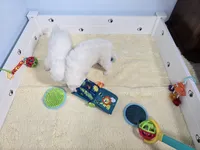 processed/d88d19c5-c1b5-4e2c-baef-1a3b1bf32465/listing/ad6df6c7-9ac1-473f-a959-9b5e4889c85b/acc8fd49-1940-4c39-9cea-b2ac5dee748a