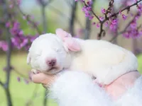 processed/d88d19c5-c1b5-4e2c-baef-1a3b1bf32465/listing/ad6df6c7-9ac1-473f-a959-9b5e4889c85b/b89dcf38-6b8e-4753-9102-924ec0332bca