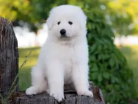 processed/d88d19c5-c1b5-4e2c-baef-1a3b1bf32465/listing/ad6df6c7-9ac1-473f-a959-9b5e4889c85b/eadd874f-4c78-45f2-af4b-1405a00da9a2