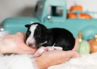 processed/d88d19c5-c1b5-4e2c-baef-1a3b1bf32465/listing/b6ed9323-0356-47f2-8cf9-1f7fee603e46/2f748d81-9e39-434f-a757-592c3686bfba