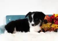 processed/d88d19c5-c1b5-4e2c-baef-1a3b1bf32465/listing/b6ed9323-0356-47f2-8cf9-1f7fee603e46/649c0462-891c-4db4-bfc0-ea301a243b11