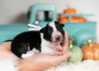 processed/d88d19c5-c1b5-4e2c-baef-1a3b1bf32465/listing/b6ed9323-0356-47f2-8cf9-1f7fee603e46/949c9285-285f-4c65-aff9-38578f34e43d