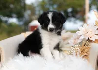 processed/d88d19c5-c1b5-4e2c-baef-1a3b1bf32465/listing/b6ed9323-0356-47f2-8cf9-1f7fee603e46/ae4df5cd-1afc-4c74-ba88-6e84834a993e