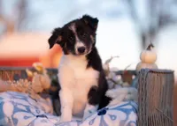 processed/d88d19c5-c1b5-4e2c-baef-1a3b1bf32465/listing/b6ed9323-0356-47f2-8cf9-1f7fee603e46/b15941f9-2d25-454c-91d0-172084c23133