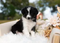 processed/d88d19c5-c1b5-4e2c-baef-1a3b1bf32465/listing/b6ed9323-0356-47f2-8cf9-1f7fee603e46/b7940ccf-ceea-42aa-a720-cf8c32ec20b3