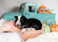 processed/d88d19c5-c1b5-4e2c-baef-1a3b1bf32465/listing/b6ed9323-0356-47f2-8cf9-1f7fee603e46/d9260d53-ab9c-40e4-951a-1604fa7c6bb7