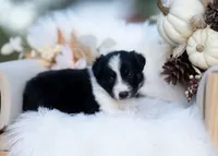 processed/d88d19c5-c1b5-4e2c-baef-1a3b1bf32465/listing/b6ed9323-0356-47f2-8cf9-1f7fee603e46/fb1696d9-b604-450d-861a-3e5f09cb29a9