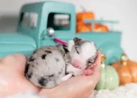 processed/d88d19c5-c1b5-4e2c-baef-1a3b1bf32465/listing/c8bdf470-039a-4aa6-8362-479e64f6940a/00b07069-18bf-4c86-babc-a9de6de74a6e