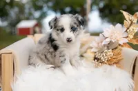 processed/d88d19c5-c1b5-4e2c-baef-1a3b1bf32465/listing/c8bdf470-039a-4aa6-8362-479e64f6940a/6024c581-6156-4c68-960f-f37ce0827d63