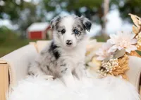 processed/d88d19c5-c1b5-4e2c-baef-1a3b1bf32465/listing/c8bdf470-039a-4aa6-8362-479e64f6940a/9f00b8e2-d7e8-4b5a-abe4-96b52deca51c