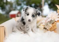 processed/d88d19c5-c1b5-4e2c-baef-1a3b1bf32465/listing/c8bdf470-039a-4aa6-8362-479e64f6940a/c811f29b-c01c-4253-b2ae-53df8621877f