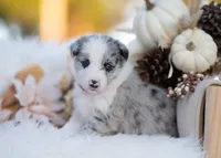 processed/d88d19c5-c1b5-4e2c-baef-1a3b1bf32465/listing/c8bdf470-039a-4aa6-8362-479e64f6940a/f16382b2-8418-4895-b755-3bb537bcad6a