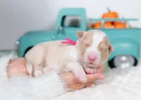 processed/d88d19c5-c1b5-4e2c-baef-1a3b1bf32465/listing/cfe52f0b-896b-44ae-98b6-9553739a5cb1/15730e0e-7e2a-442c-8cfb-7472d4e6398f