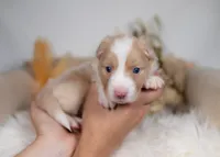 processed/d88d19c5-c1b5-4e2c-baef-1a3b1bf32465/listing/cfe52f0b-896b-44ae-98b6-9553739a5cb1/6688379b-061c-449a-a489-498cd4e9eacf