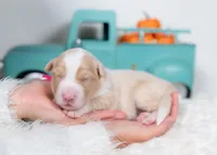 processed/d88d19c5-c1b5-4e2c-baef-1a3b1bf32465/listing/cfe52f0b-896b-44ae-98b6-9553739a5cb1/e509244d-6e67-46d7-bcb3-1468e0fe9bf0