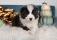 processed/d88d19c5-c1b5-4e2c-baef-1a3b1bf32465/listing/d2f4ff58-dbc4-41de-ac26-989293393631/4185a899-3969-4f66-9939-97b3159dbe0a