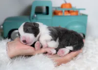 processed/d88d19c5-c1b5-4e2c-baef-1a3b1bf32465/listing/d2f4ff58-dbc4-41de-ac26-989293393631/5baeb016-a6c4-4bc5-9b59-cc1df92a51c0