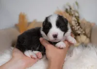 processed/d88d19c5-c1b5-4e2c-baef-1a3b1bf32465/listing/d2f4ff58-dbc4-41de-ac26-989293393631/bf412f39-9030-4b36-a91c-38bf9a8f716c