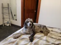 processed/d88d19c5-c1b5-4e2c-baef-1a3b1bf32465/listing/dd58be60-5abd-4cfd-8a31-cb33dc256309/156c81ce-0a94-490f-b040-8e154f3c69a3