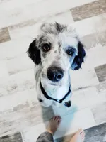 processed/d88d19c5-c1b5-4e2c-baef-1a3b1bf32465/listing/dd58be60-5abd-4cfd-8a31-cb33dc256309/5340afd1-d56a-4efa-9795-b73228106728