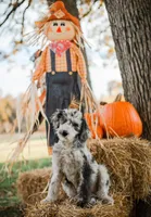 processed/d88d19c5-c1b5-4e2c-baef-1a3b1bf32465/listing/dd58be60-5abd-4cfd-8a31-cb33dc256309/945356e5-f564-4842-93fd-ddfa92a7f905