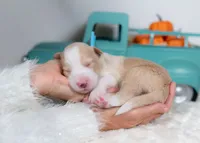 processed/d88d19c5-c1b5-4e2c-baef-1a3b1bf32465/listing/dde8a040-3c05-4001-99d7-dd0baa8debf2/406d7a58-d1cb-414c-bede-4219460d254f