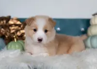 processed/d88d19c5-c1b5-4e2c-baef-1a3b1bf32465/listing/dde8a040-3c05-4001-99d7-dd0baa8debf2/5cec4706-1ba0-470c-85ce-de01c9441c32