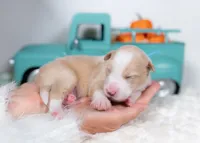 processed/d88d19c5-c1b5-4e2c-baef-1a3b1bf32465/listing/dde8a040-3c05-4001-99d7-dd0baa8debf2/c0727fbc-60cd-436e-a527-6538e382fdea