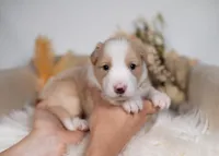 processed/d88d19c5-c1b5-4e2c-baef-1a3b1bf32465/listing/dde8a040-3c05-4001-99d7-dd0baa8debf2/d9ef8448-c192-4273-8711-2dd381218c86