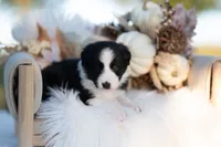 processed/d88d19c5-c1b5-4e2c-baef-1a3b1bf32465/listing/e1708d73-b9ad-4d06-b778-3207a27826fe/15b2b15e-6540-4e42-9482-1a5838781e6b