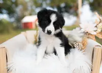 processed/d88d19c5-c1b5-4e2c-baef-1a3b1bf32465/listing/e1708d73-b9ad-4d06-b778-3207a27826fe/172e9619-4226-49e2-b2c8-1e3c2a43098e