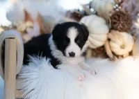 processed/d88d19c5-c1b5-4e2c-baef-1a3b1bf32465/listing/e1708d73-b9ad-4d06-b778-3207a27826fe/5b5dec84-7dd1-41ae-a325-1349275fb7db