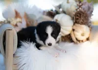 processed/d88d19c5-c1b5-4e2c-baef-1a3b1bf32465/listing/e1708d73-b9ad-4d06-b778-3207a27826fe/864f28ac-776b-45c1-b1fe-63fbf0de92ea