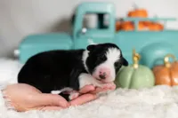 processed/d88d19c5-c1b5-4e2c-baef-1a3b1bf32465/listing/e1708d73-b9ad-4d06-b778-3207a27826fe/d717c16d-746a-417b-9bd9-aa947601d11a