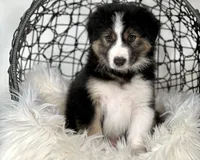 processed/d88d19c5-c1b5-4e2c-baef-1a3b1bf32465/listing/f5370733-70fb-45f0-9376-29fab2039be7/00a7868e-d881-4118-a322-35f72f5500eb