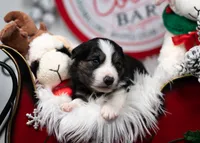 processed/d88d19c5-c1b5-4e2c-baef-1a3b1bf32465/listing/f5370733-70fb-45f0-9376-29fab2039be7/03edc0c4-876e-429a-87d4-89be0b357798