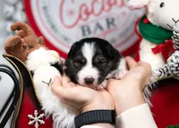 processed/d88d19c5-c1b5-4e2c-baef-1a3b1bf32465/listing/f5370733-70fb-45f0-9376-29fab2039be7/11dd45c7-a97d-4ccf-8dc4-3ee35678f239