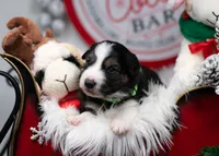 processed/d88d19c5-c1b5-4e2c-baef-1a3b1bf32465/listing/f5370733-70fb-45f0-9376-29fab2039be7/5b5c3ca6-e665-4dbd-933c-e5424afd5fa2