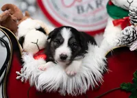 processed/d88d19c5-c1b5-4e2c-baef-1a3b1bf32465/listing/f5370733-70fb-45f0-9376-29fab2039be7/6ef07357-c9ed-419f-a2f9-4efc132ee3a2