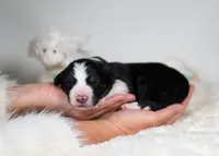 processed/d88d19c5-c1b5-4e2c-baef-1a3b1bf32465/listing/f5370733-70fb-45f0-9376-29fab2039be7/9250bf93-b986-478e-8198-557e463829ee