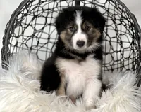 processed/d88d19c5-c1b5-4e2c-baef-1a3b1bf32465/listing/f5370733-70fb-45f0-9376-29fab2039be7/97e6a2fd-ad93-4166-9ce8-26e0d763419d