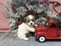 processed/d88f38db-1377-4ab6-81bc-4e4ce1797c26/listing/37e9af58-2553-44c7-9804-02c44dd0c83b/3e96bae9-6872-4499-84af-88265d4e3f19