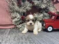 processed/d88f38db-1377-4ab6-81bc-4e4ce1797c26/listing/37e9af58-2553-44c7-9804-02c44dd0c83b/42ed25fe-1b16-4c52-a67d-5b48ebce7925