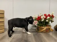 processed/d88f38db-1377-4ab6-81bc-4e4ce1797c26/listing/4c40c299-8afe-43e0-8cfd-6faed7ac308b/1081b8c9-e6ba-49b6-8ff8-e7fabac19fd8