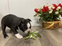 processed/d88f38db-1377-4ab6-81bc-4e4ce1797c26/listing/4c40c299-8afe-43e0-8cfd-6faed7ac308b/10f27ff6-093a-4406-8802-1fb9e766eff8