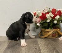 processed/d88f38db-1377-4ab6-81bc-4e4ce1797c26/listing/4c40c299-8afe-43e0-8cfd-6faed7ac308b/76431520-f73c-48aa-a3cb-1fcd645dad0e