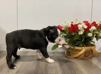 processed/d88f38db-1377-4ab6-81bc-4e4ce1797c26/listing/4c40c299-8afe-43e0-8cfd-6faed7ac308b/8d42cb06-cfcd-4094-b559-504ece75758b