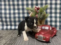 processed/d88f38db-1377-4ab6-81bc-4e4ce1797c26/listing/4d7256ee-f1bc-4403-bc47-0b164d4fa029/8b345194-223e-4eb7-bec2-fabdb77db15c