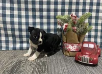 processed/d88f38db-1377-4ab6-81bc-4e4ce1797c26/listing/4d7256ee-f1bc-4403-bc47-0b164d4fa029/cdecc6a6-f782-4565-b8cf-9627df3d3895