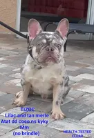 processed/d8a39411-5b01-4de7-9aa0-2930fbfa080a/facility/1f68252f-e80a-4cd1-9741-5cd94fd09c3e